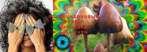 мдпв Абаза